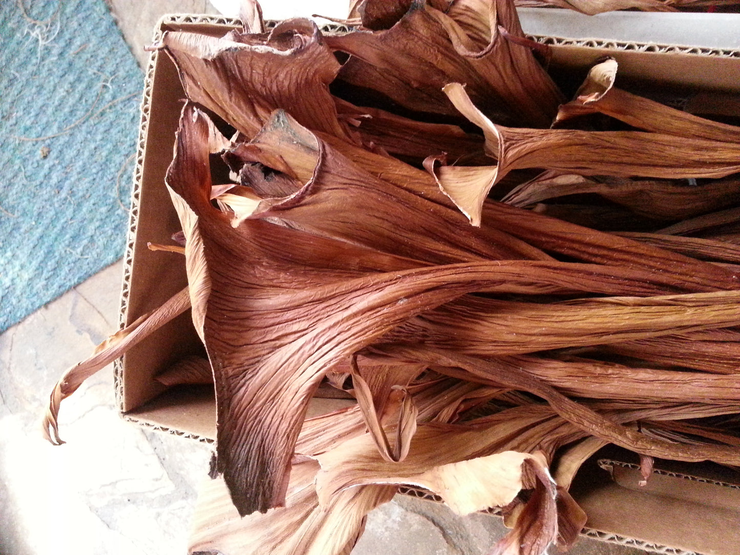 PHILODENDRON SHEATHS for Gourd and Basket Embellishment