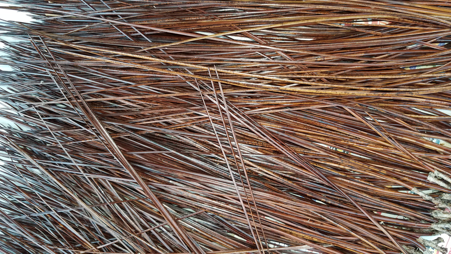Glycerin treated long leaf pine needles from Florida