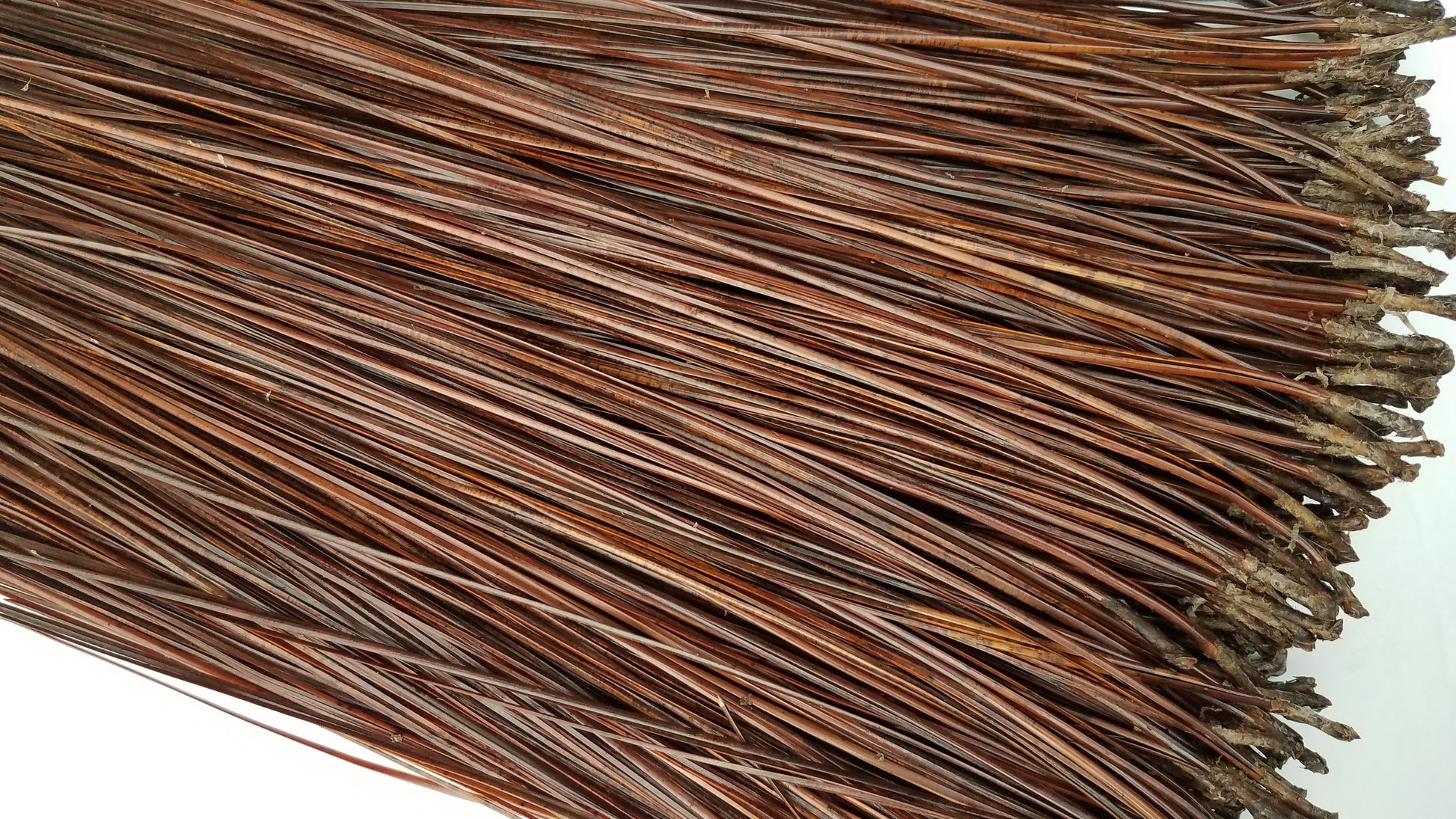 Natural needles from Florida, treated with 100%pure vegetable glycerin.