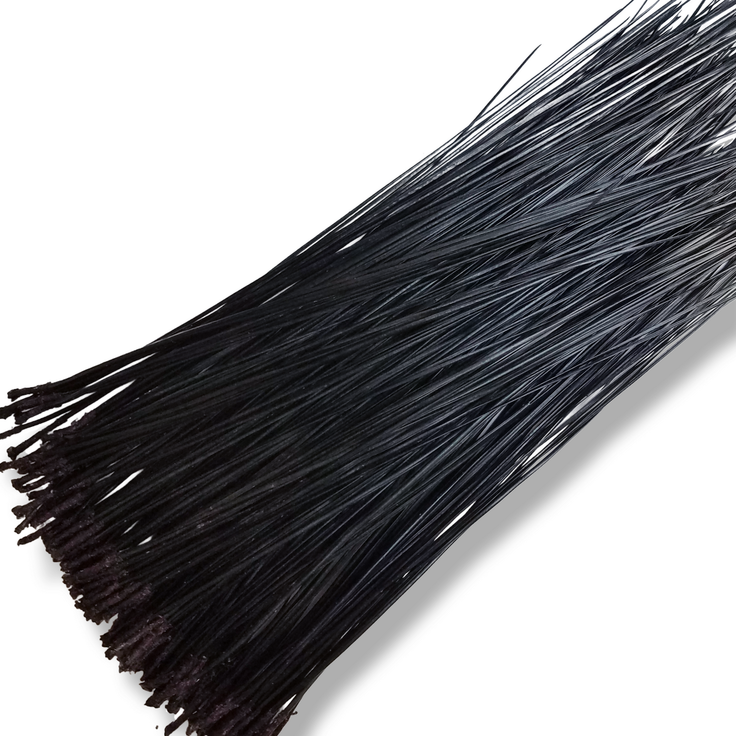 Dyed Pine Needles with Glycerin - BLACK