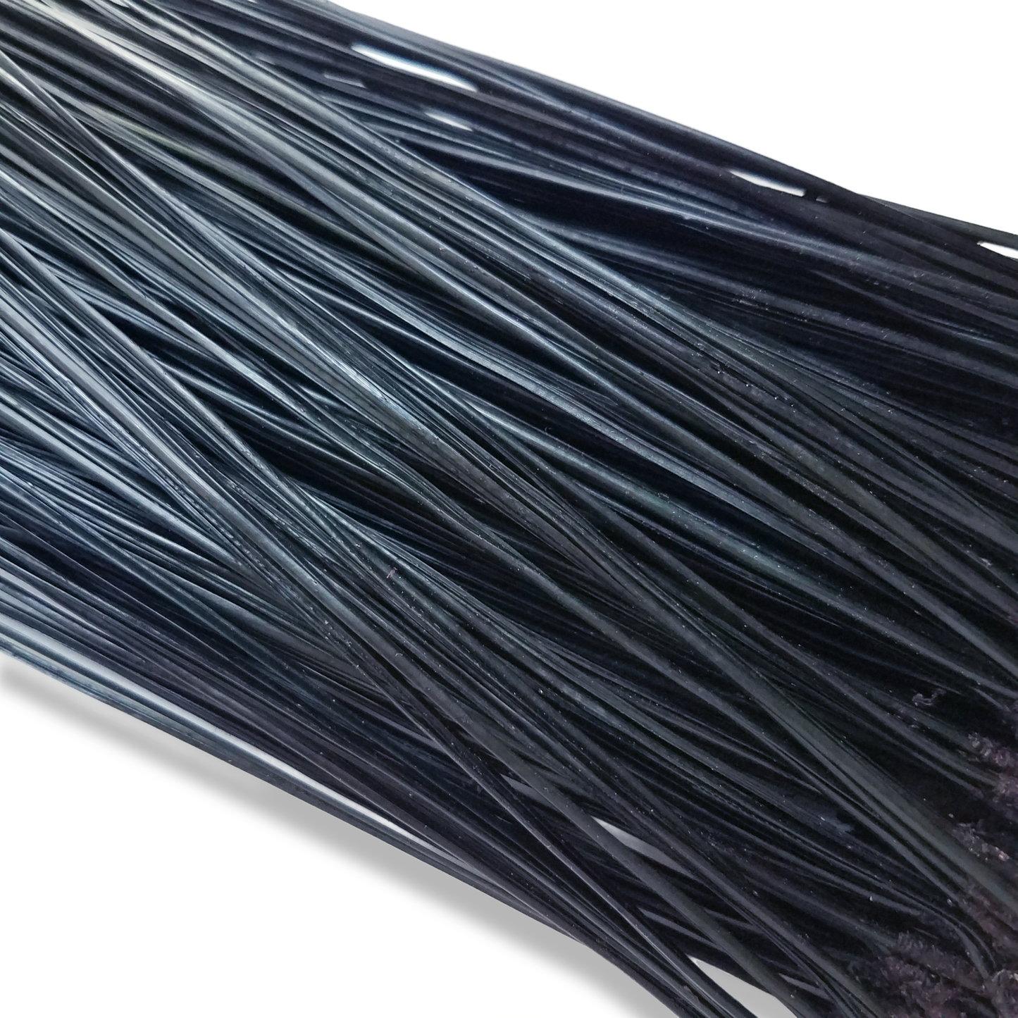 Dyed Pine Needles with Glycerin - BLACK