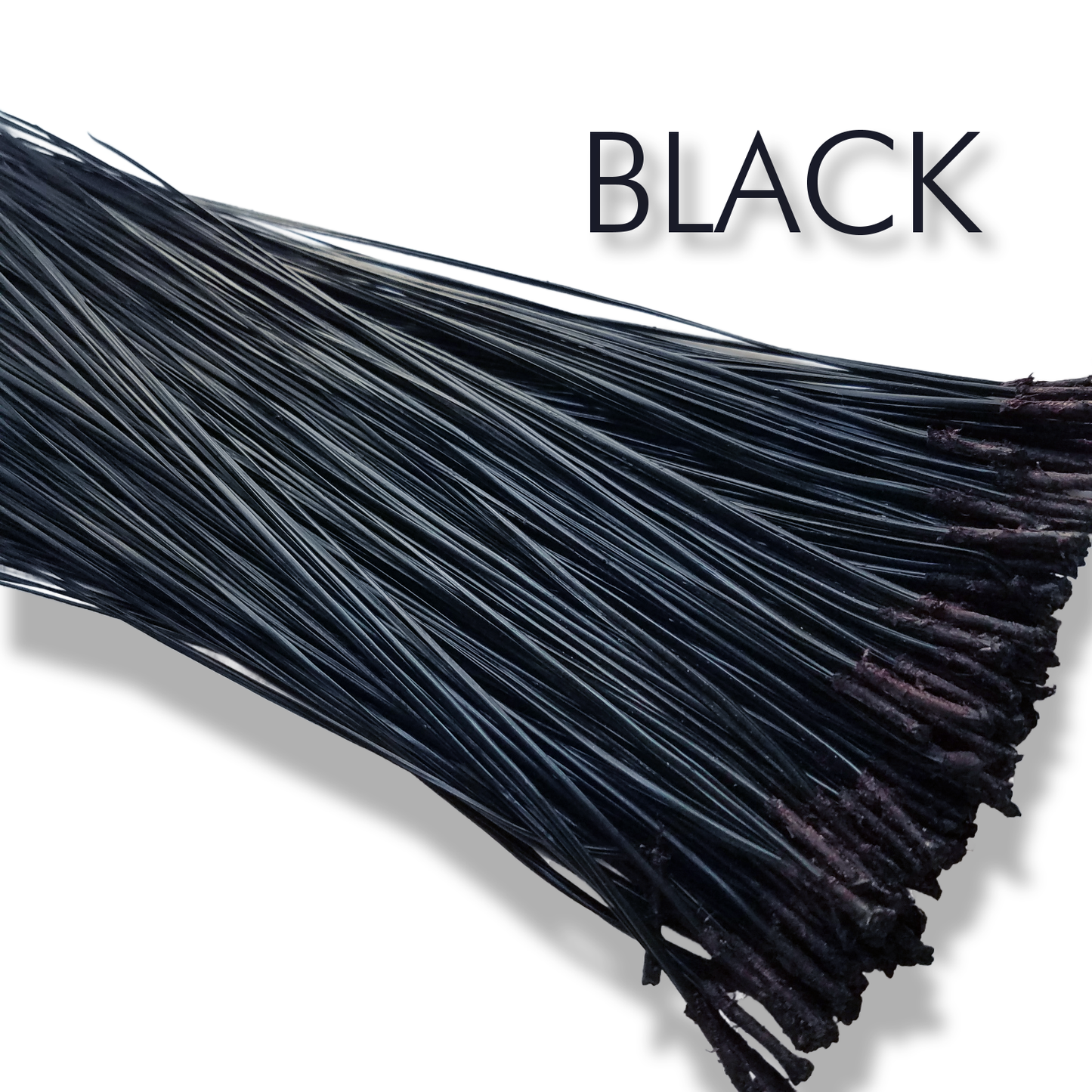 Dyed Pine Needles with Glycerin - BLACK