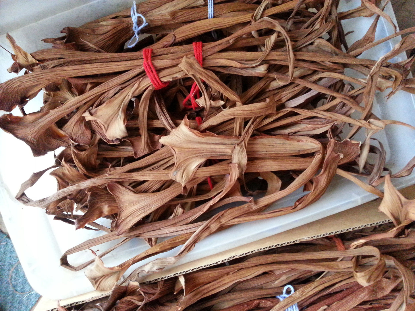 PHILODENDRON SHEATHS for Gourd and Basket Embellishment